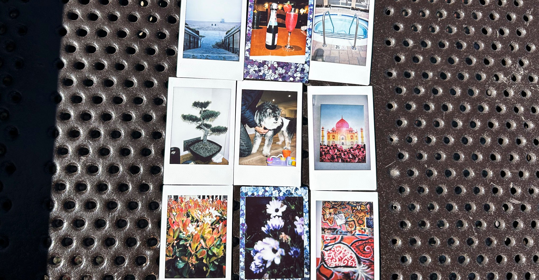 Fujifilm Instax Mini 12 photos of animals, nature, art, and drinks.