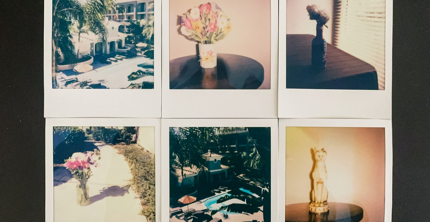 Six photos produced by the second-gen Polaroid Now Plus.