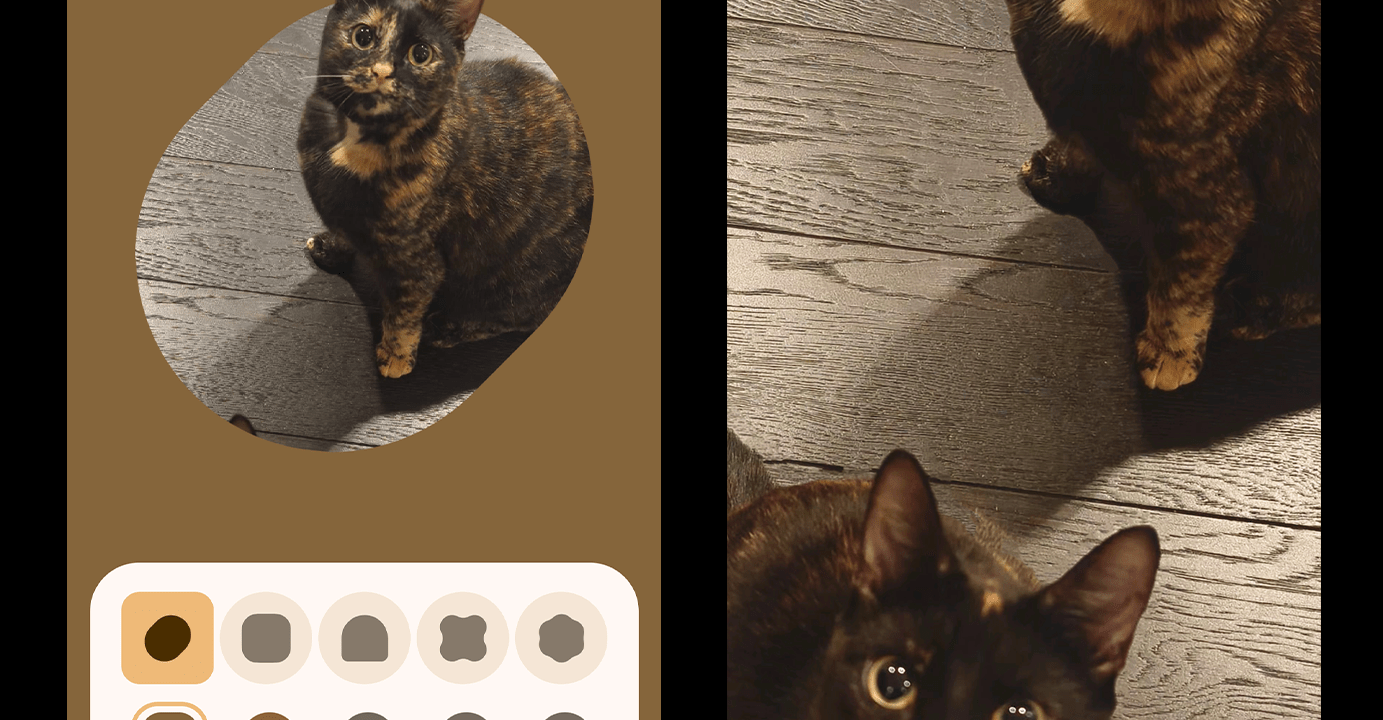 Screenshots of a cat in a “shapes” frame (left) versus two cats in the original image (right)