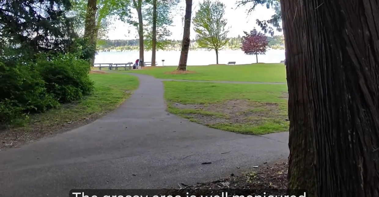 An image of a waterside park with overlaid text of Meta AI’s description.