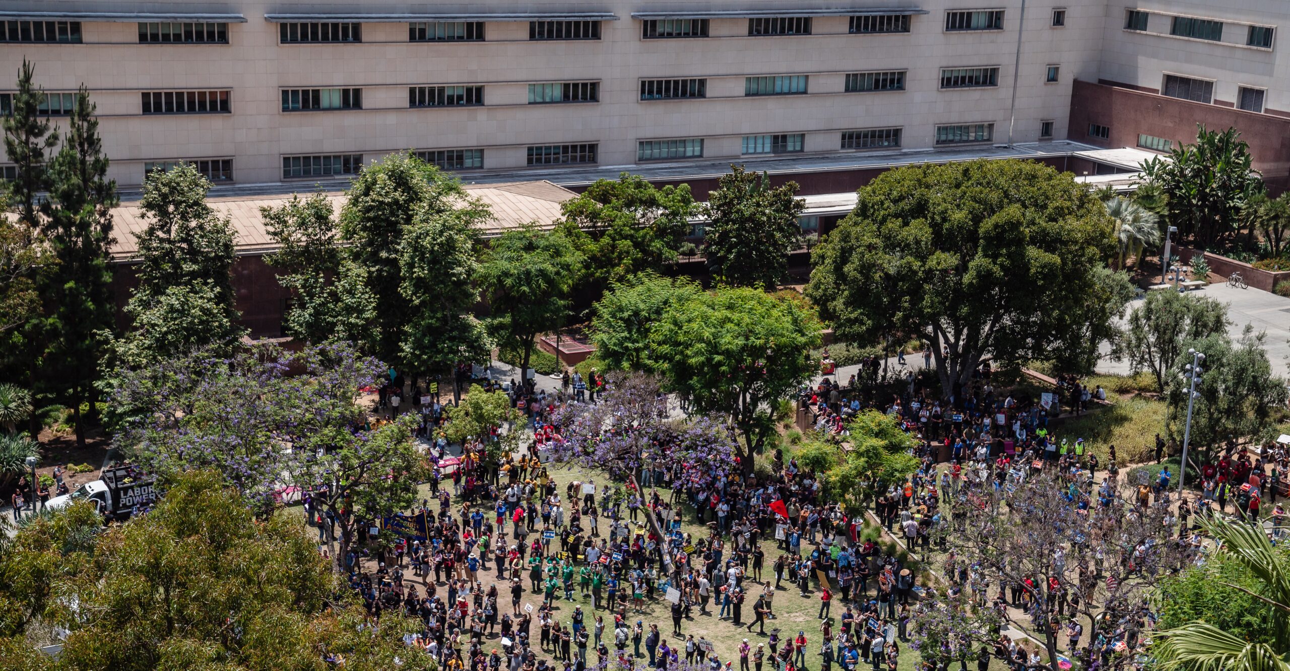 An overhead view of a crowd in a park.