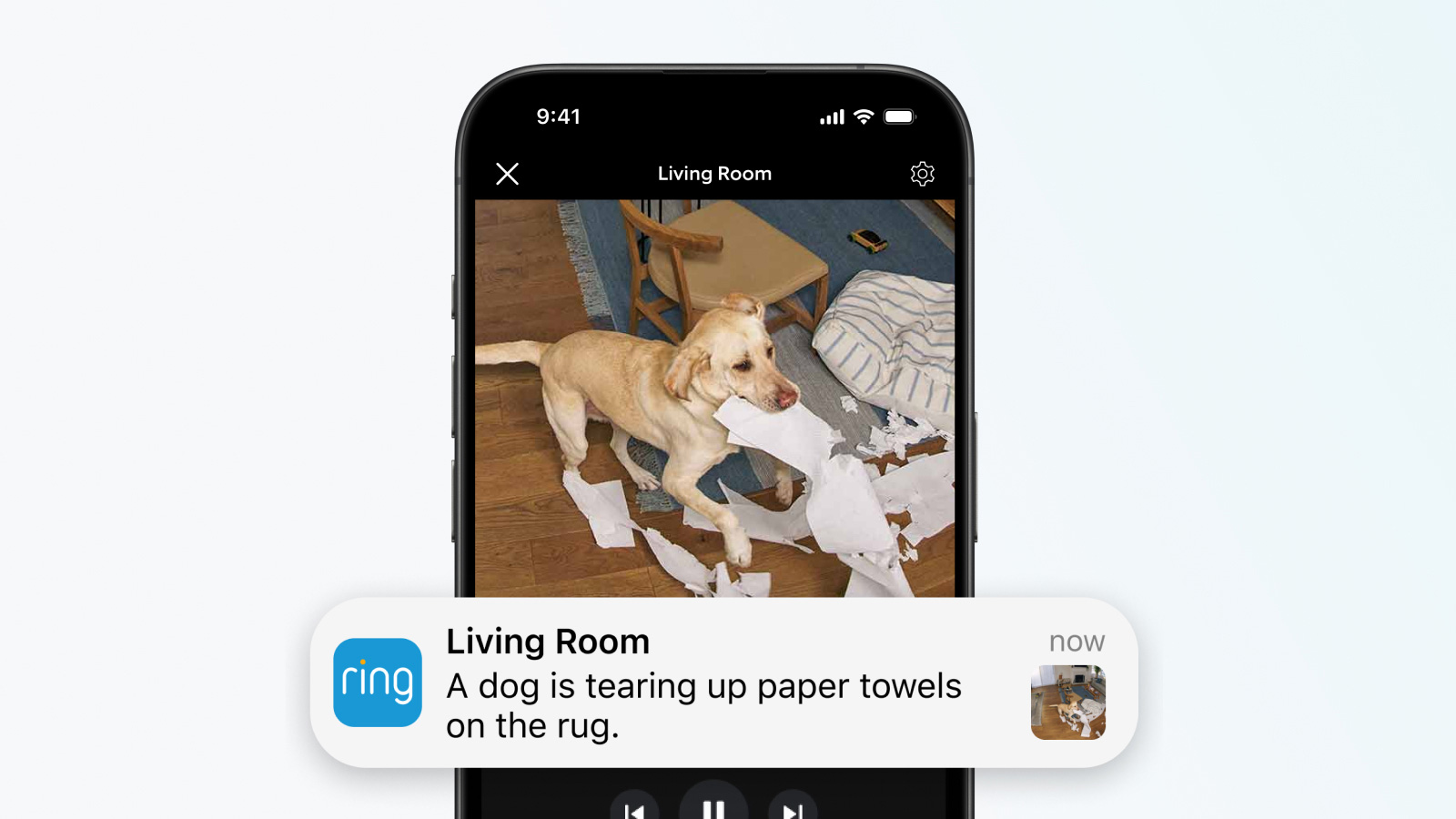 An illustration showing a phone screen with a video of a dog tearing up paper towels with a notification describing the activity in the video.