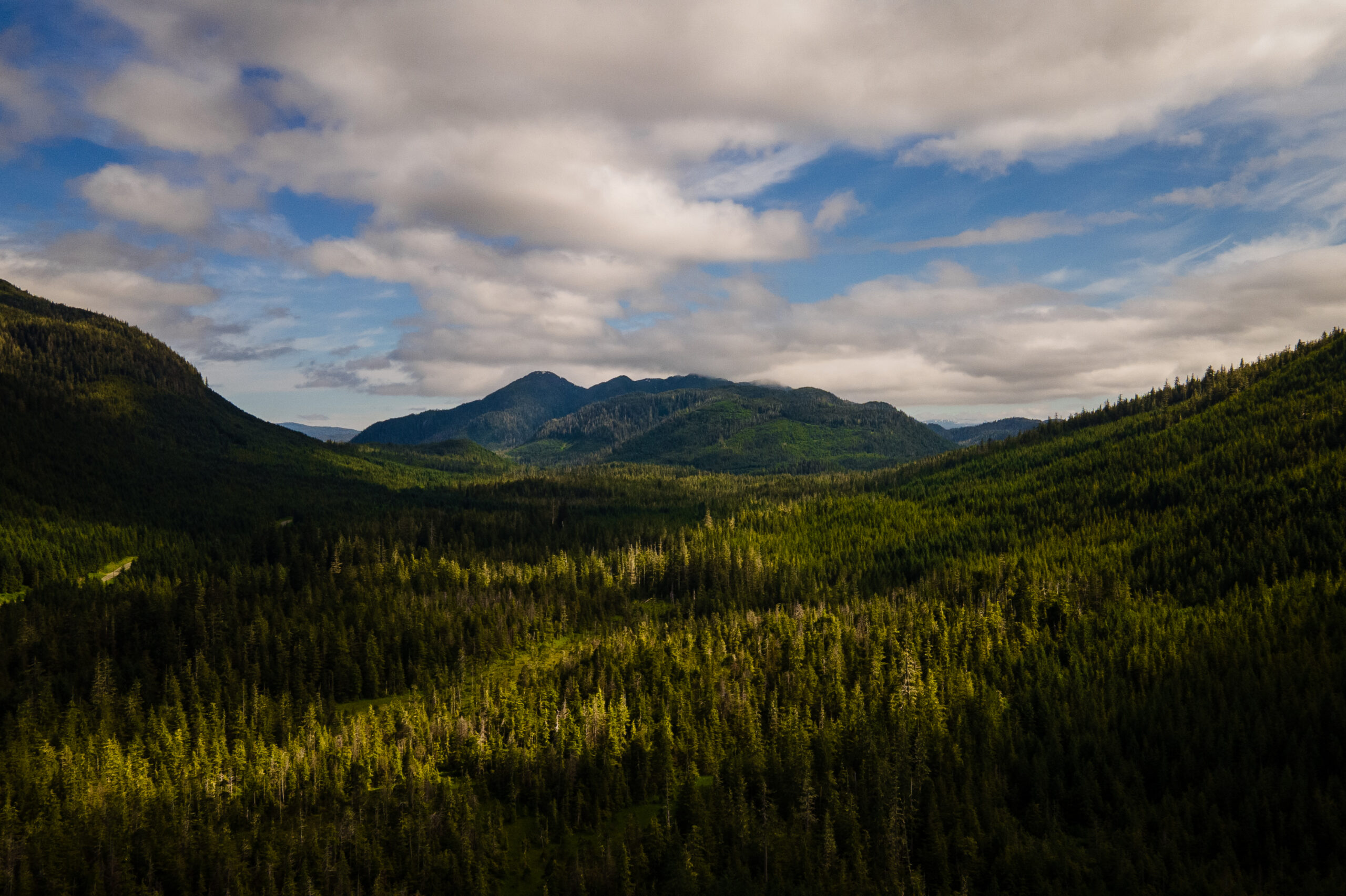 A view of forests standing below mountains under a blue sky and fluffy, white clouds.