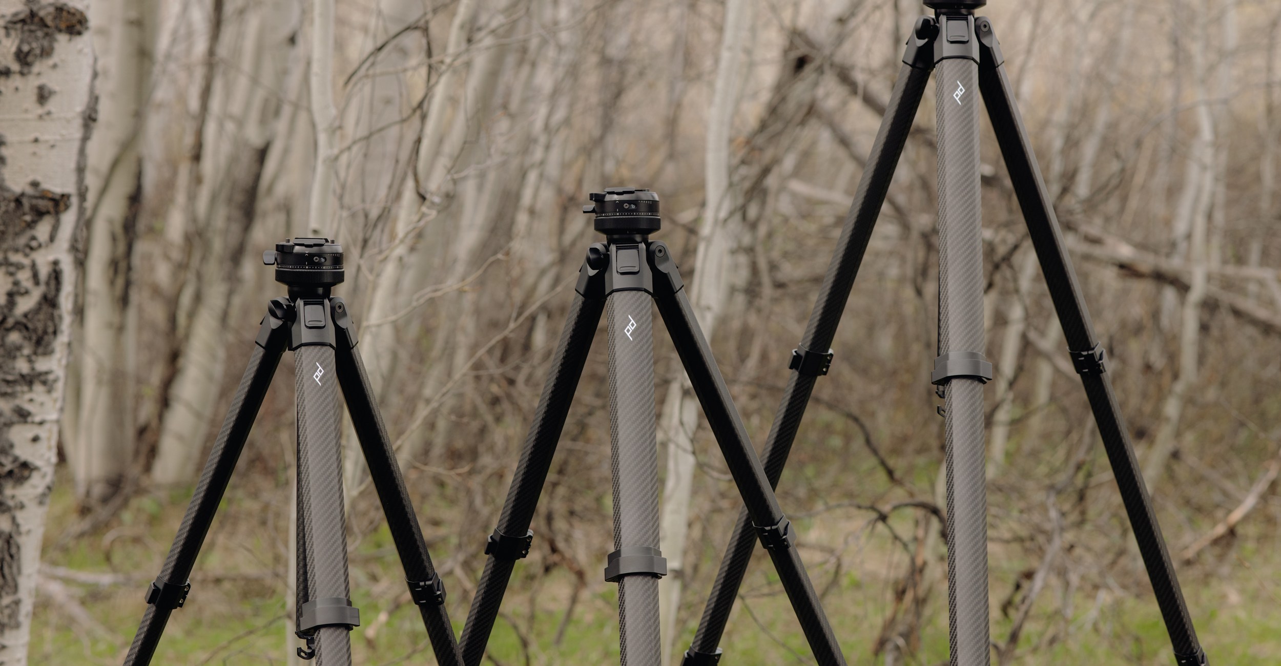 Three Peak Design Pro Tripods standing next to each other at the edge of a tree line.