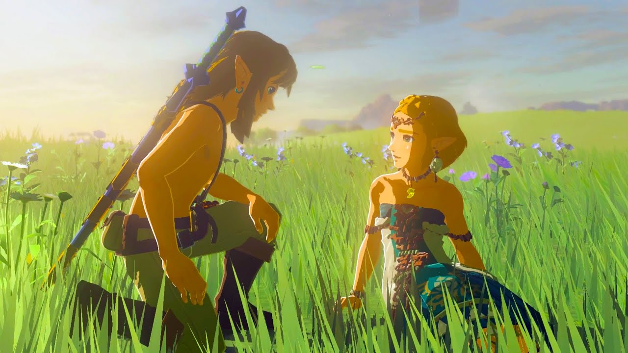 A screenshot from The Legend of Zelda: Tears of the Kingdom depicting Link kneeling next to Zelda in a field of flowers.