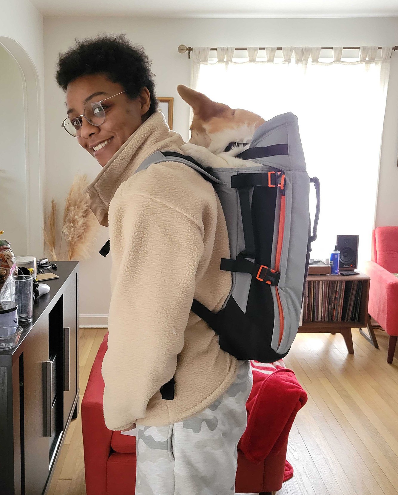Person in a room room wearing backpack with corgi peaking out.