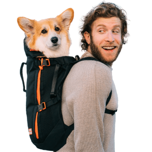 Man with backpack and dog looking out top.
