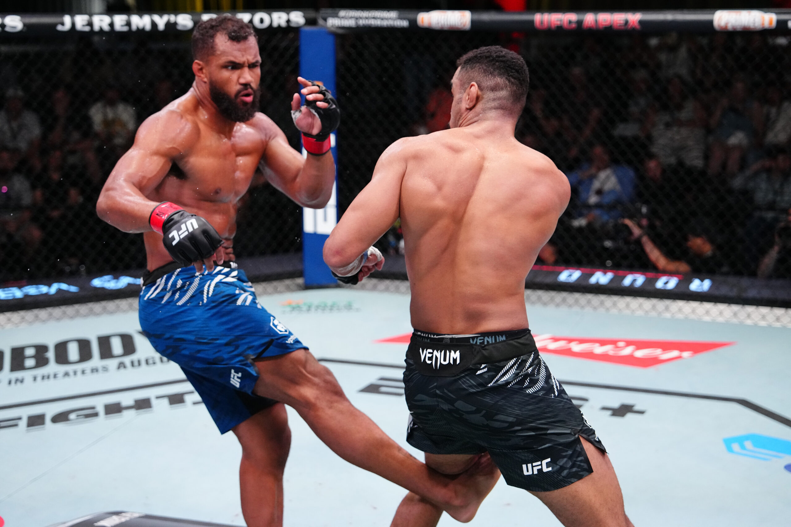 A photo showing a UFC match