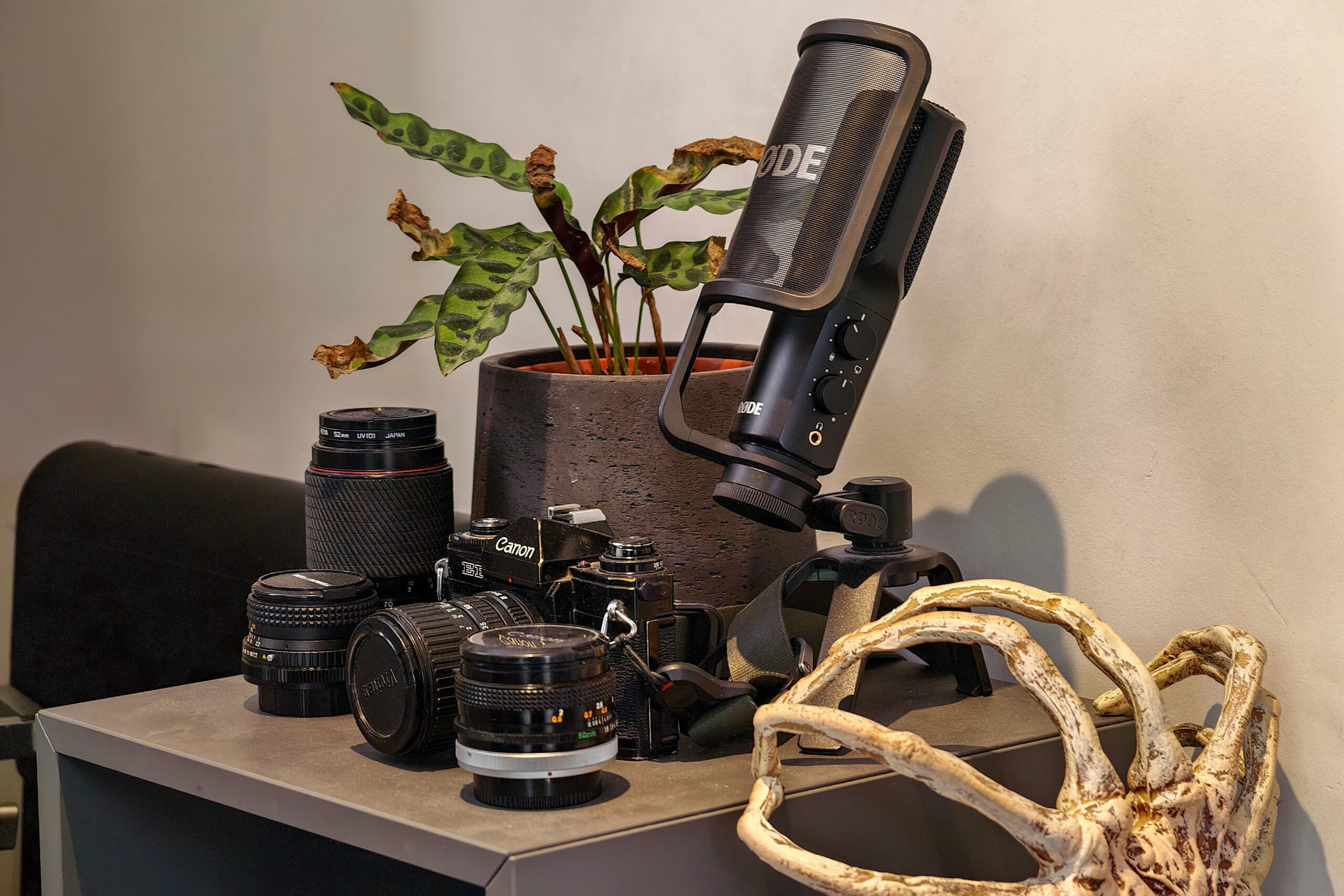 A camera with several lenses, a microphone, and a plant on a small table.