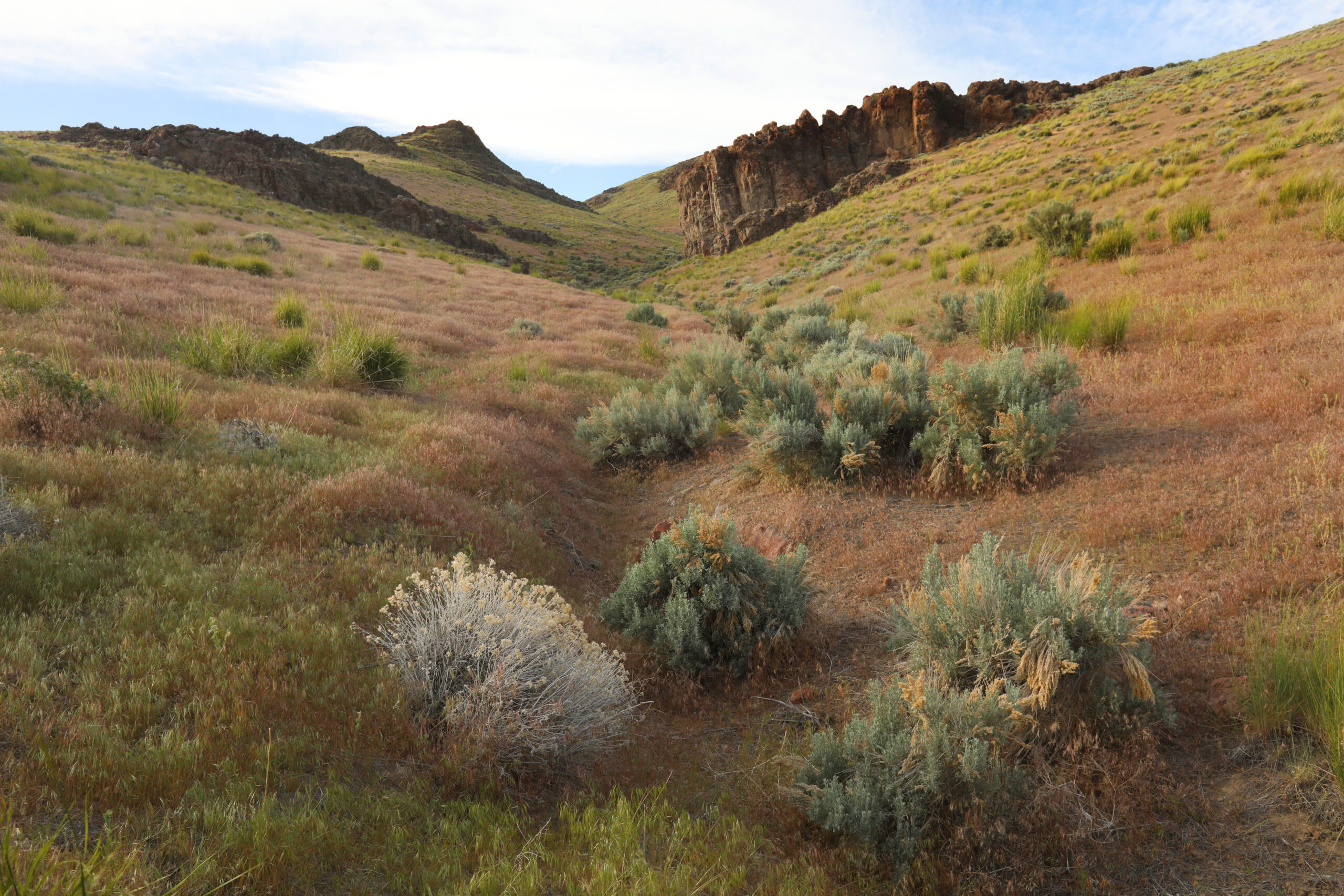A view of hills and cliffs covered with grass and shrubs.