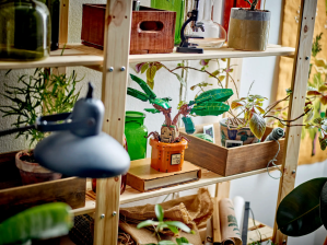 Lego Mandrake on shelf with real plants