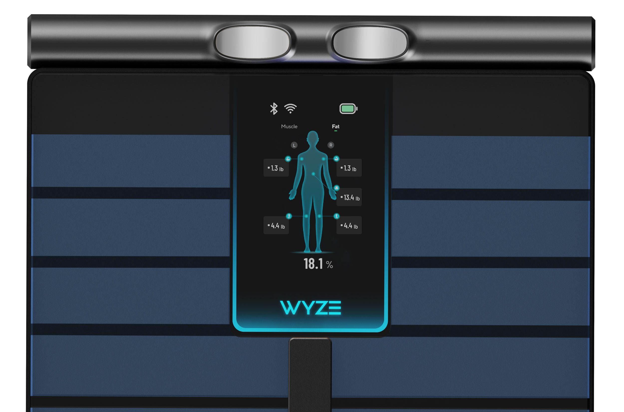 A close-up of the Wyze Scale Ultra BodyScan’s full color screen.