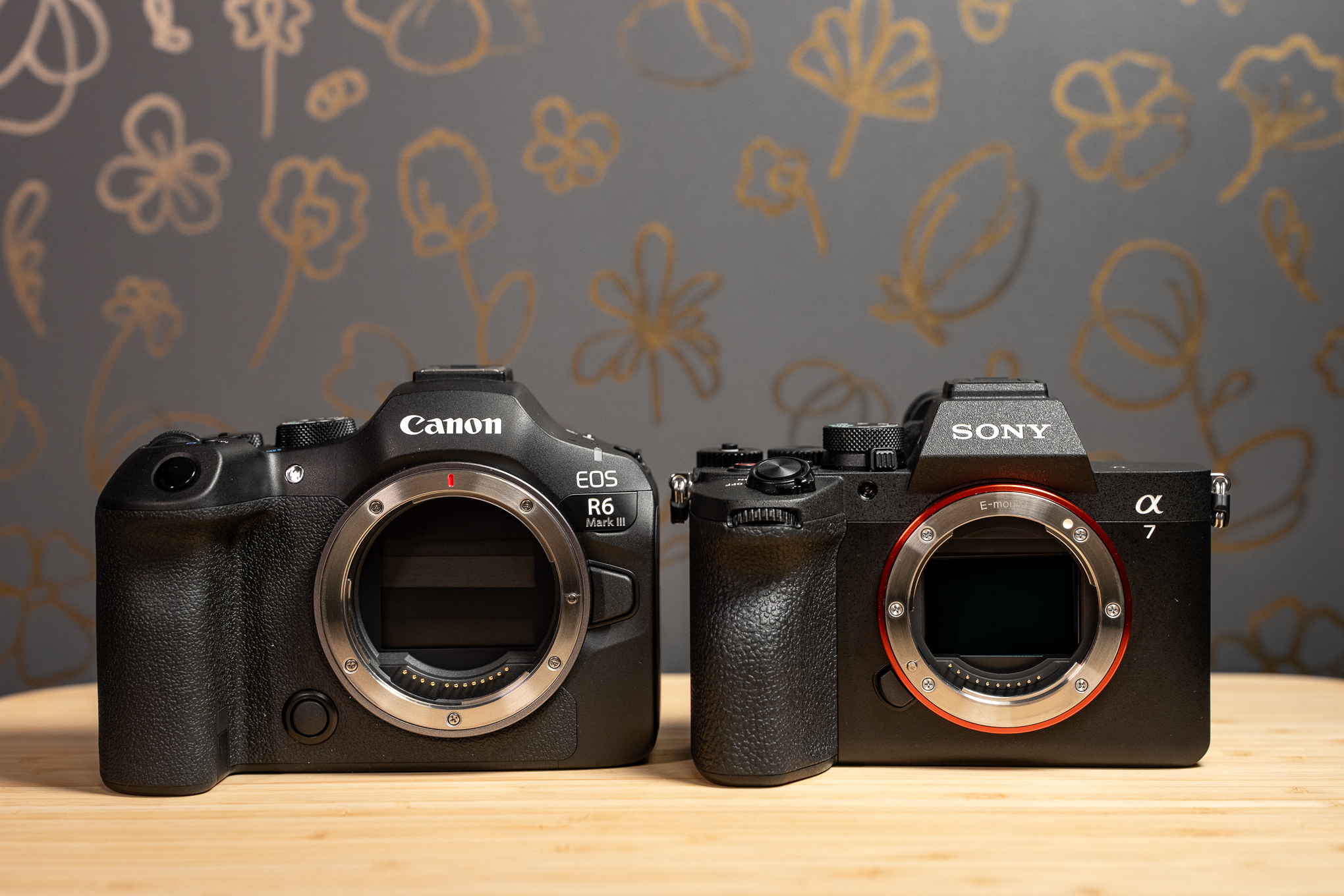 Canon EOS R6 Mark III and Sony A7 V cameras sitting on a wood surface without lenses attached. They are front-facing and side-by-side for comparison.