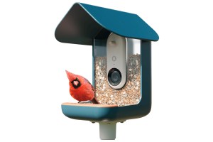 Bird Buddy's Lite smart bird feeder on a plain white background.