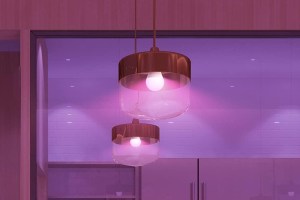 A pair of Govee Smart Light Bulbs installed in ceiling lamp fixtures.