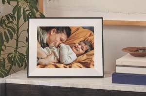 Aura Aspen resting on a desk.