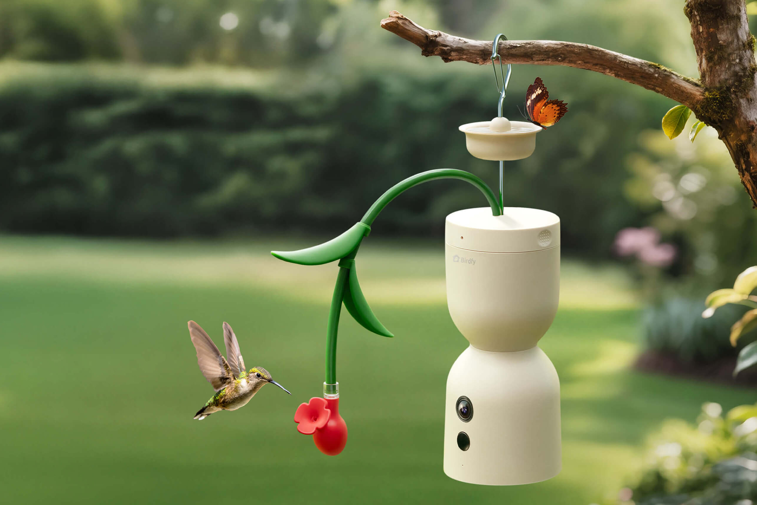A Birdfy Hum Bloom smart bird feeder hangs from a tree with a hummingbird feeding.