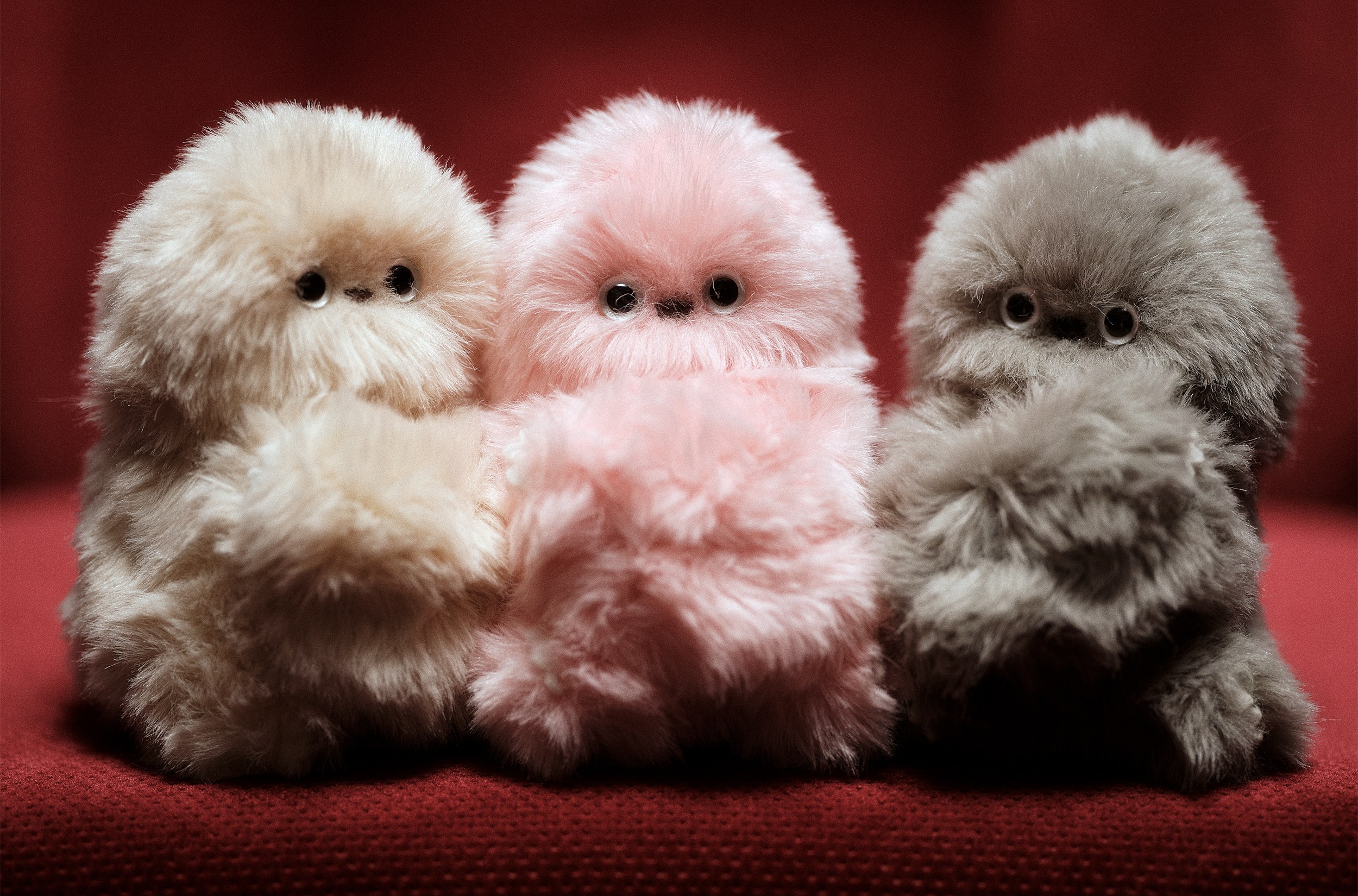 Three Mirumi robots with different colored fur lined up on a chair. Three Mirumi robots with different colored fur lined up on a chair.