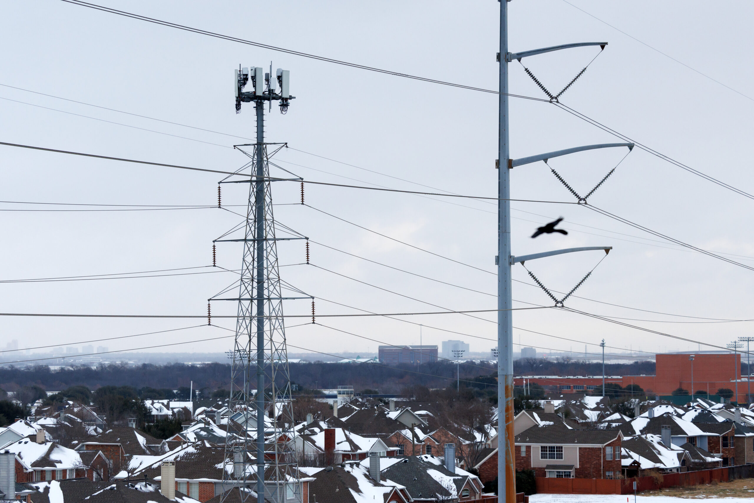 Power lines seen above homes covered in snow.
