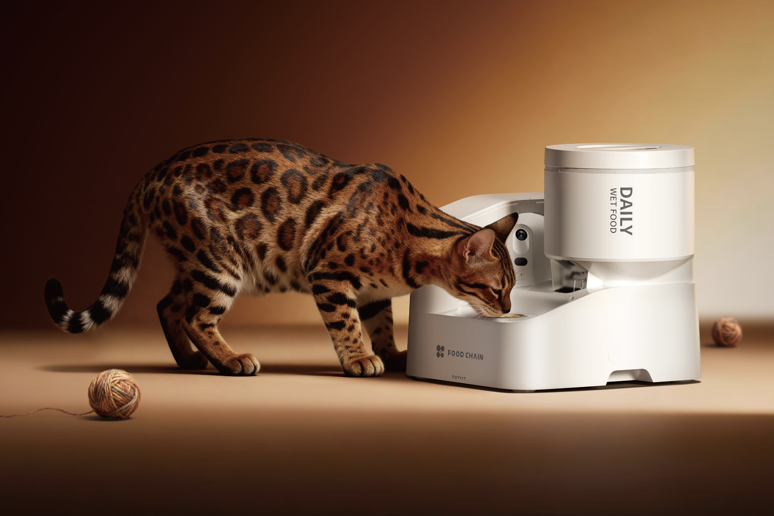 A cat eats from the Petkit Yumshare Daily Feast automatic feeder.
