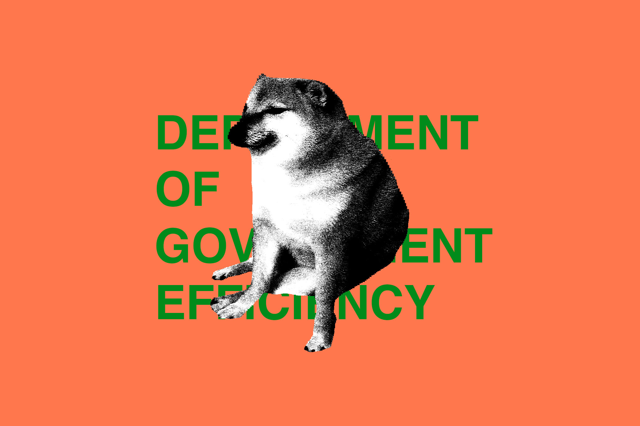 Illustration of Cheems meme in front of the words “Department of Governmental Efficiency”.