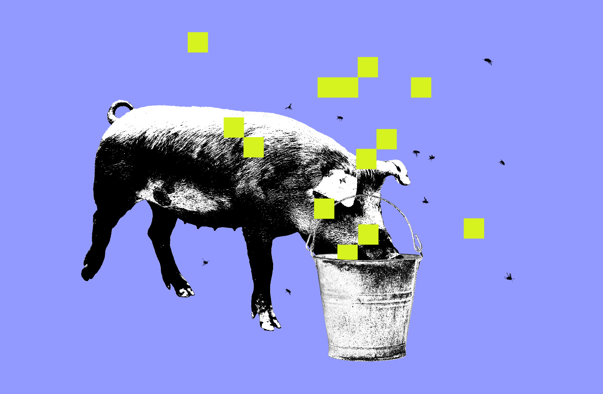 Photo collage of a pig eating digital slop out of a bucket.