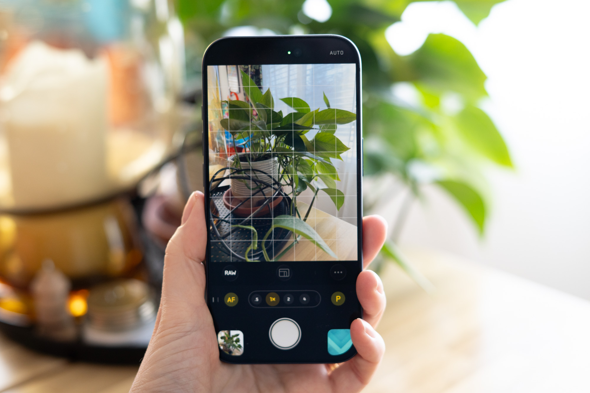 Halide camera app on iPhone screen