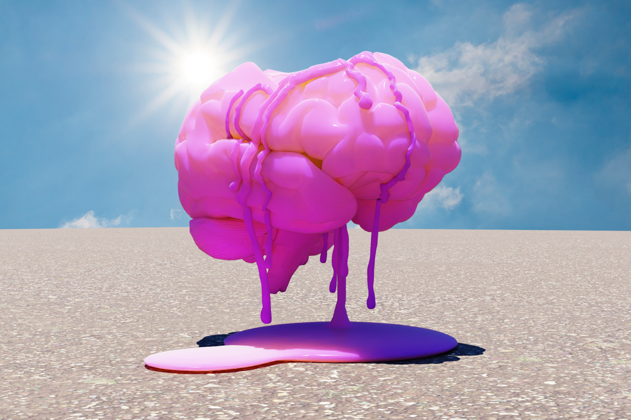 A brain is shown, melting in the sun