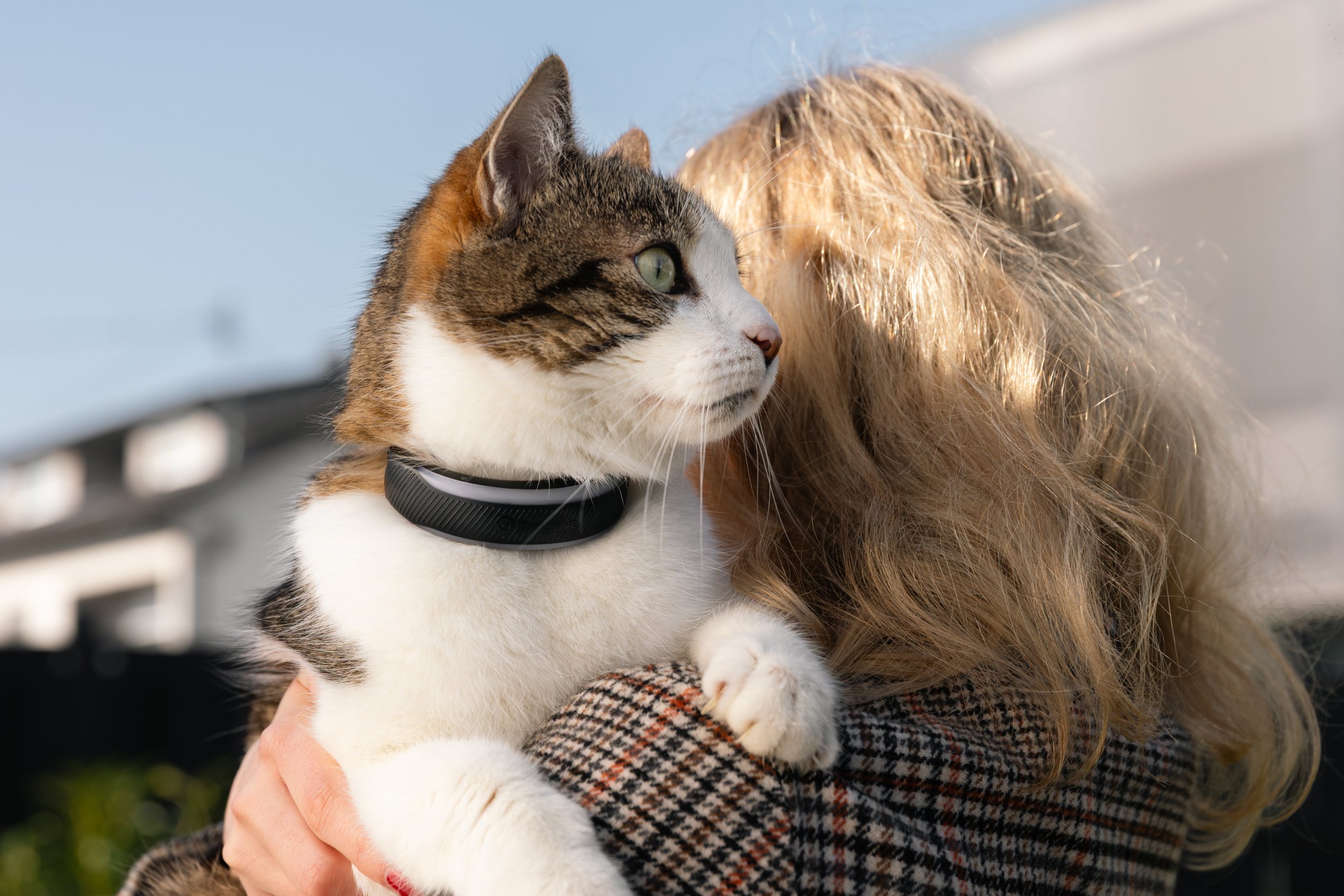 A cat held on a person’s shoulder wearing the Tractive Cat 6 Mini tracking collar.