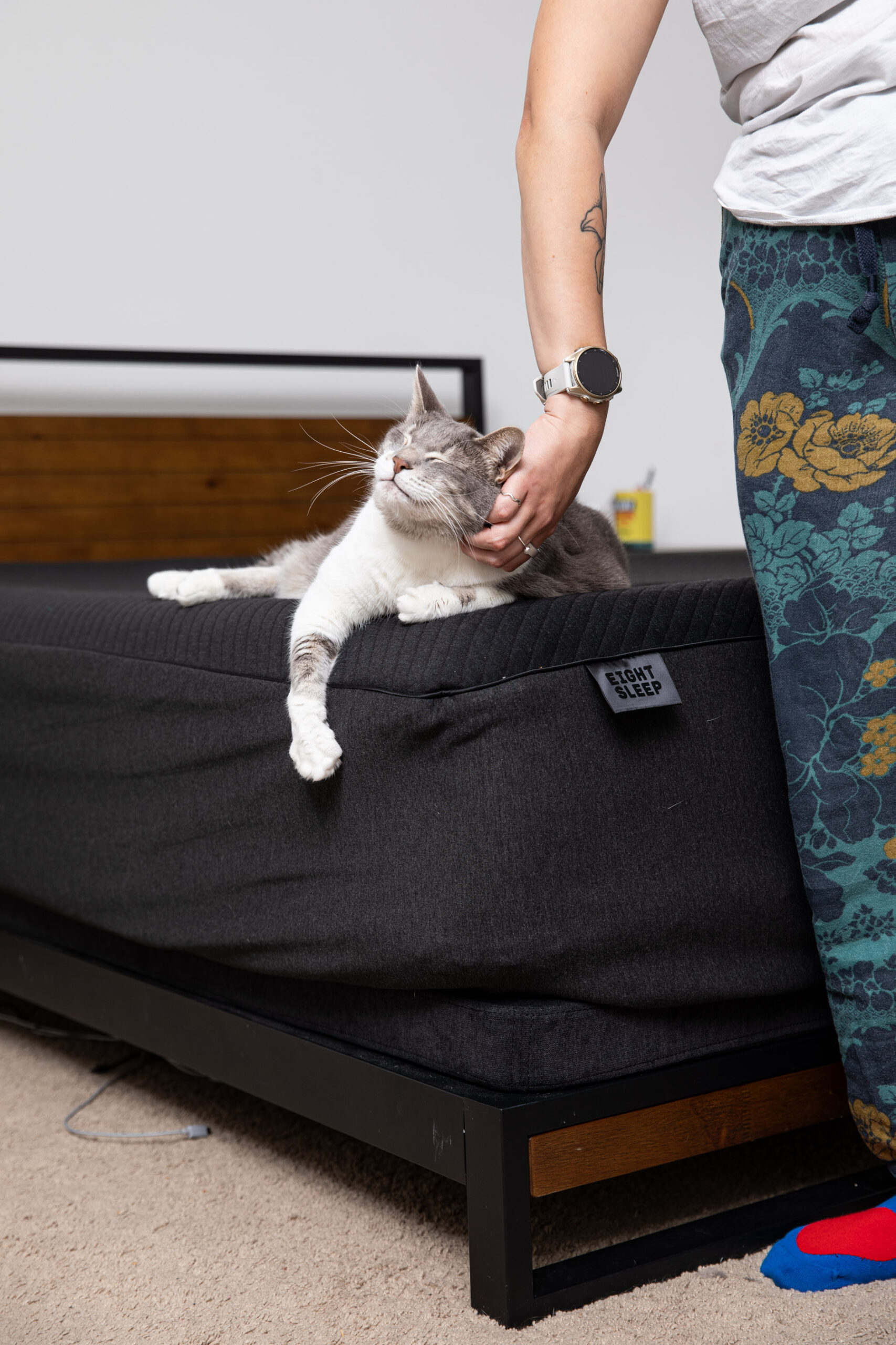 Close-up of rotund cat on Eight Sleep Pod 4 Ultra bed.