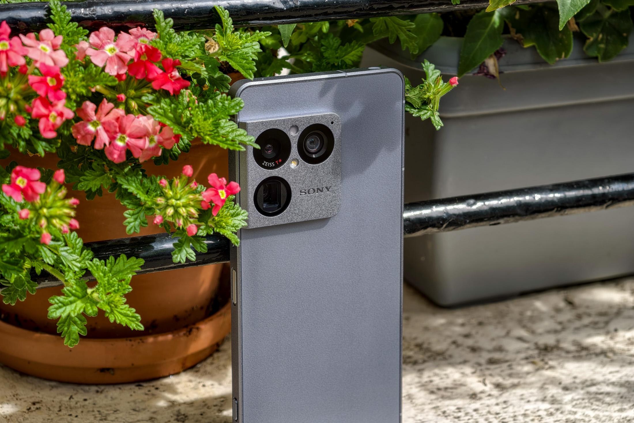 Photo of the Sony Xperia 1 VIII sitting on a windowsill in front of flowers, showing the rear