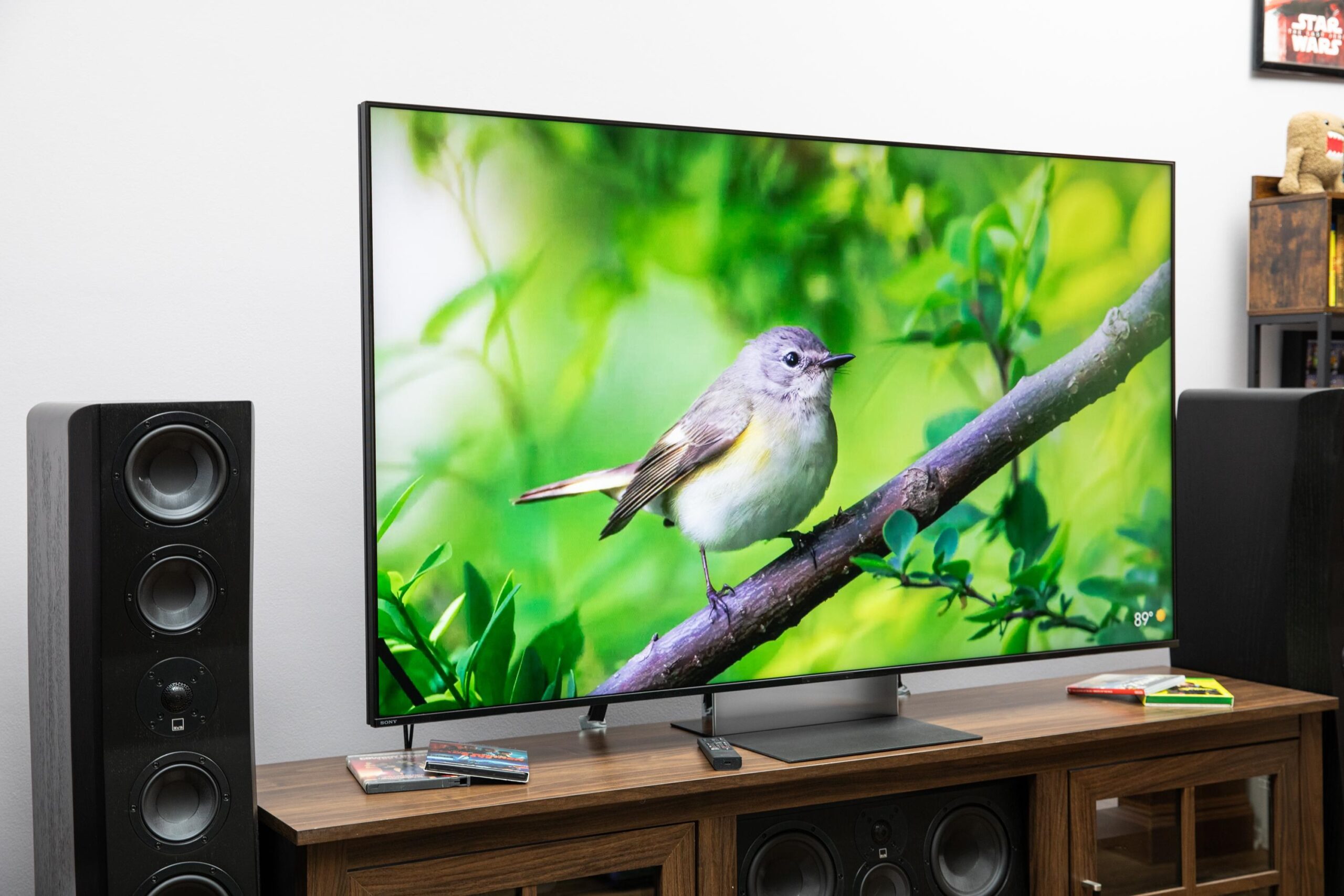 The Sony Bravia 9 II displaying an image of a bird, on a wooden home theater credenza with SVS speakers on either side.