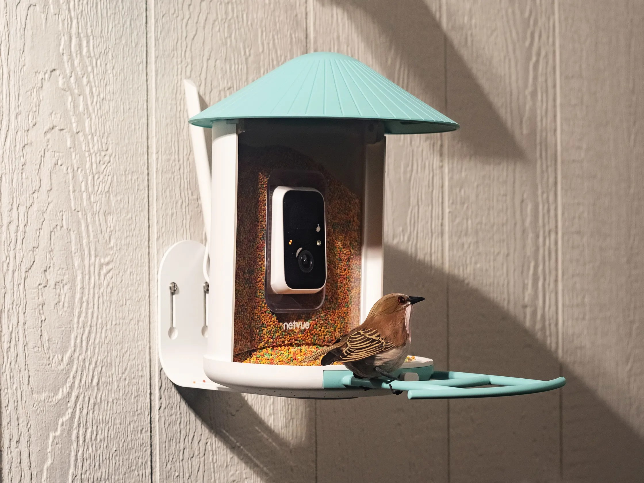The Birdfy smart feeder