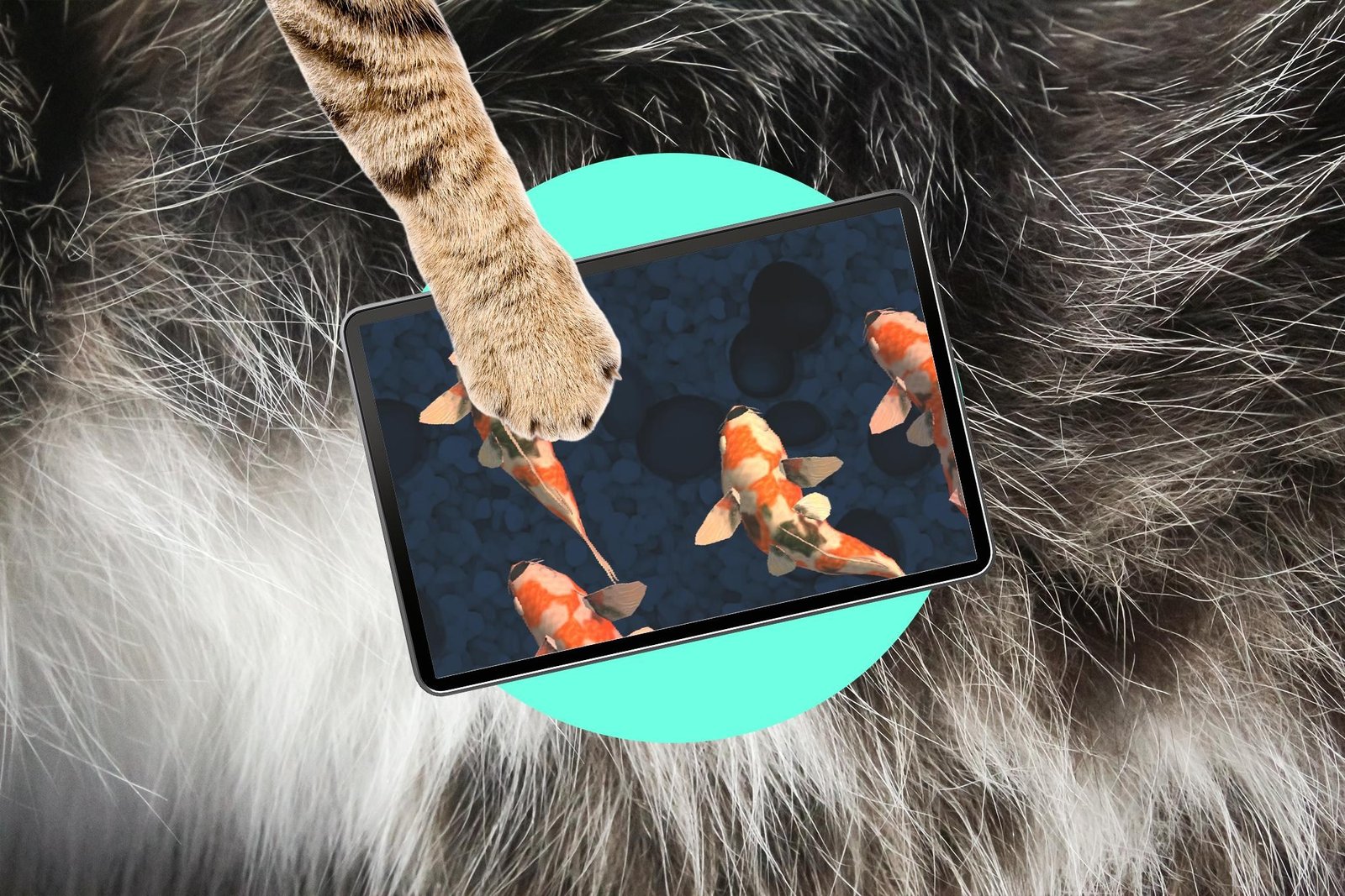 Cat’s paw touching an iPad with fish swimming on the screen.