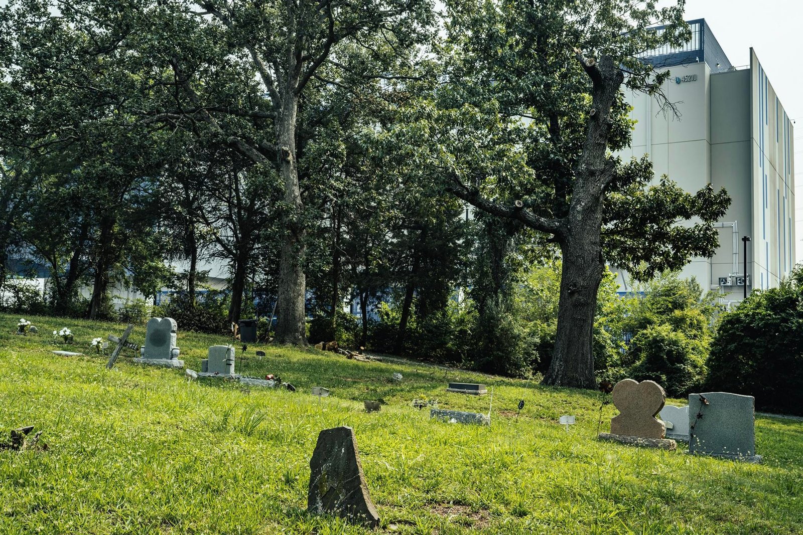 A data center peeks out from behind the trees outside Tippett’s Hill Cemetery. A data center peeks out from behind the trees outside Tippett’s Hill Cemetery.