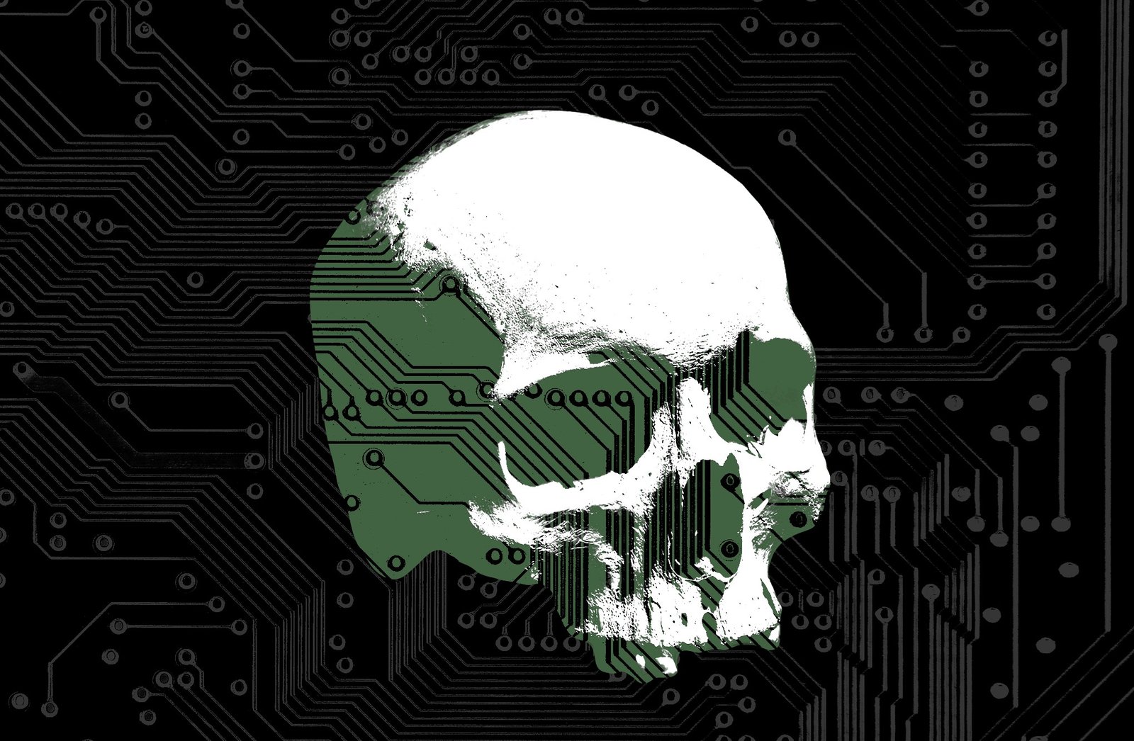 Skull with circuitboard graphic overlayed.