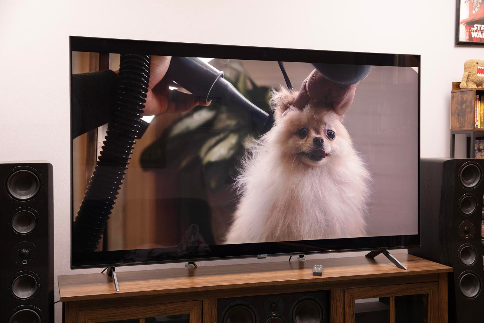 LG MRGB95B RGB LED TV on a TV stand showing a dog being groomed.