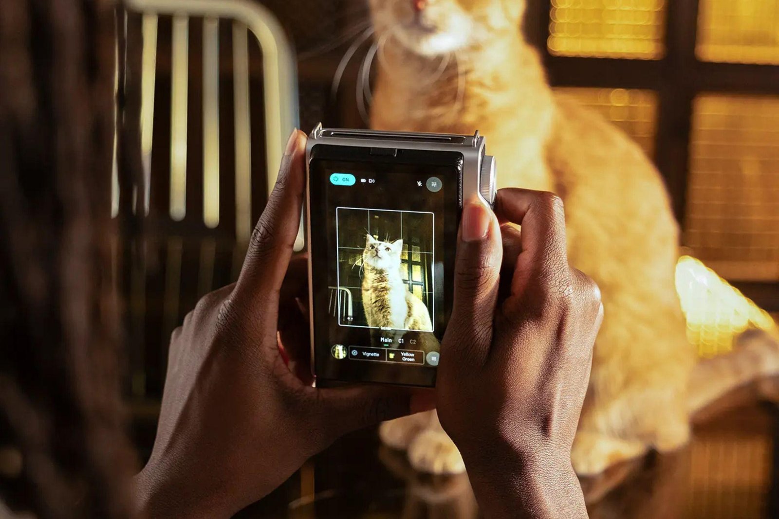 The Instax Mini Evo 2 being used to take a photo of a ginger cat.